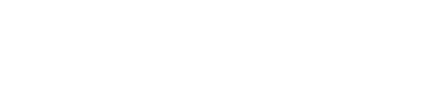 Geek IT